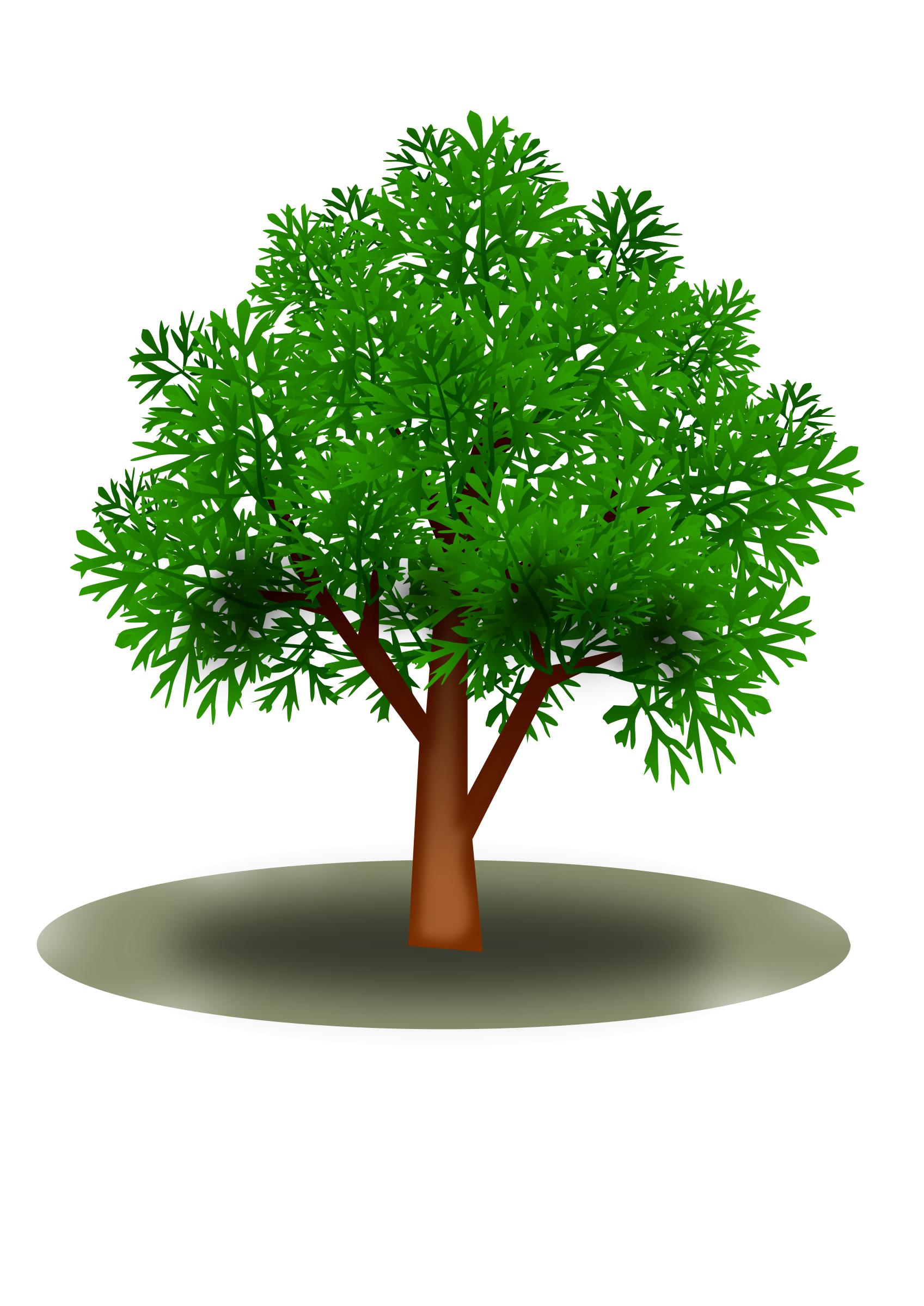 Tree 21102016 png