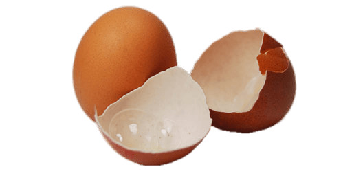 Two Eggshells icons