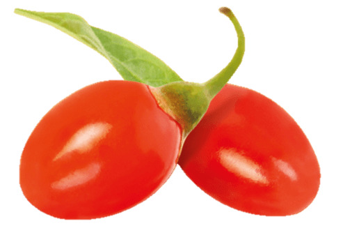 Two Goji Berries png icons