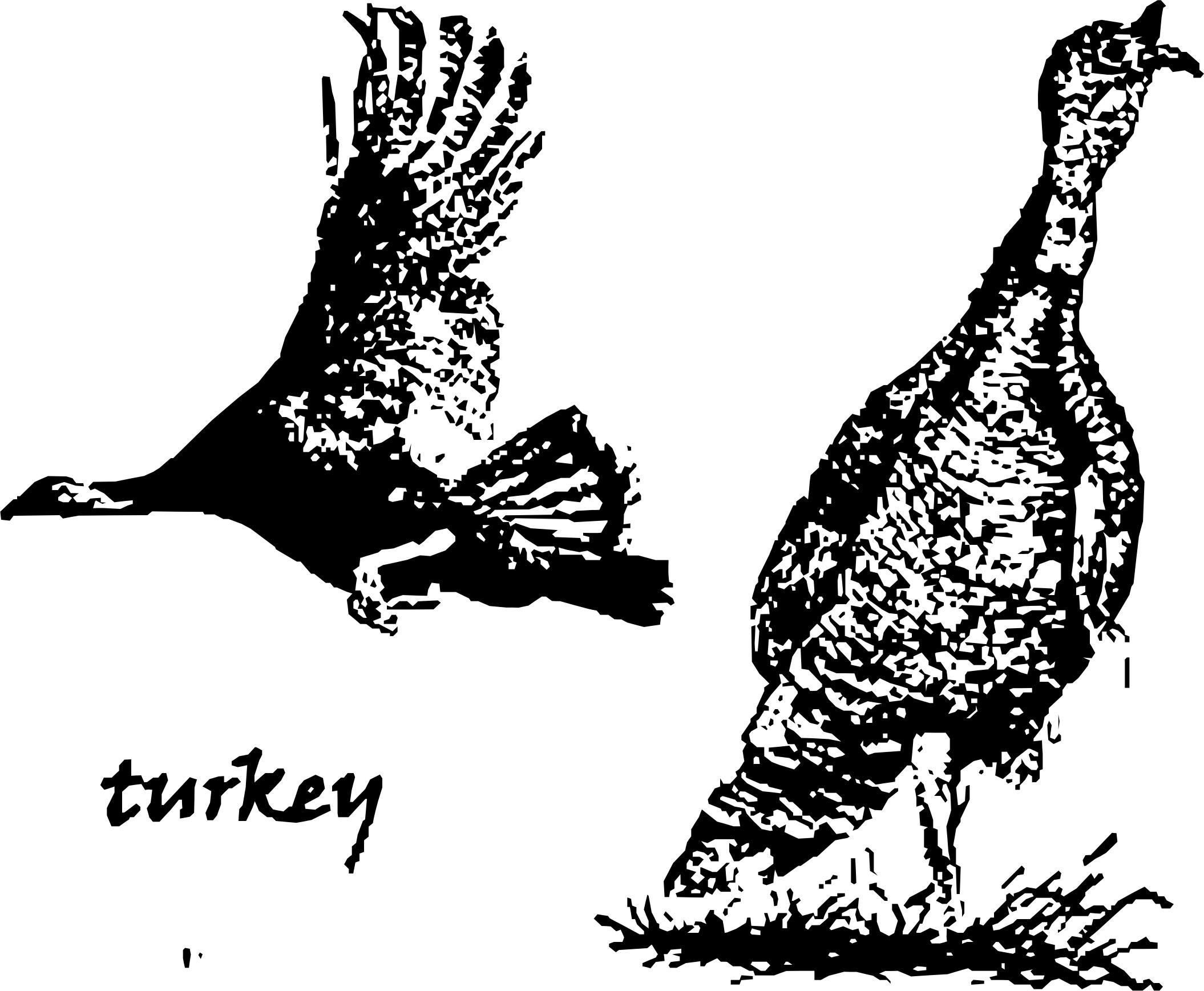 Two Turkey Birds png