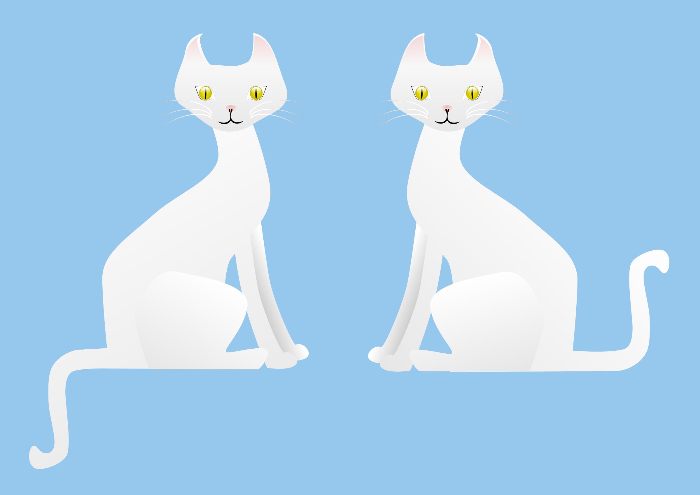 Two white cats icons