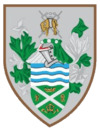 Tynedale RFC Rugby Logo icons