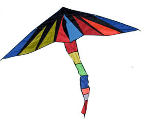 Umbrella Kite png