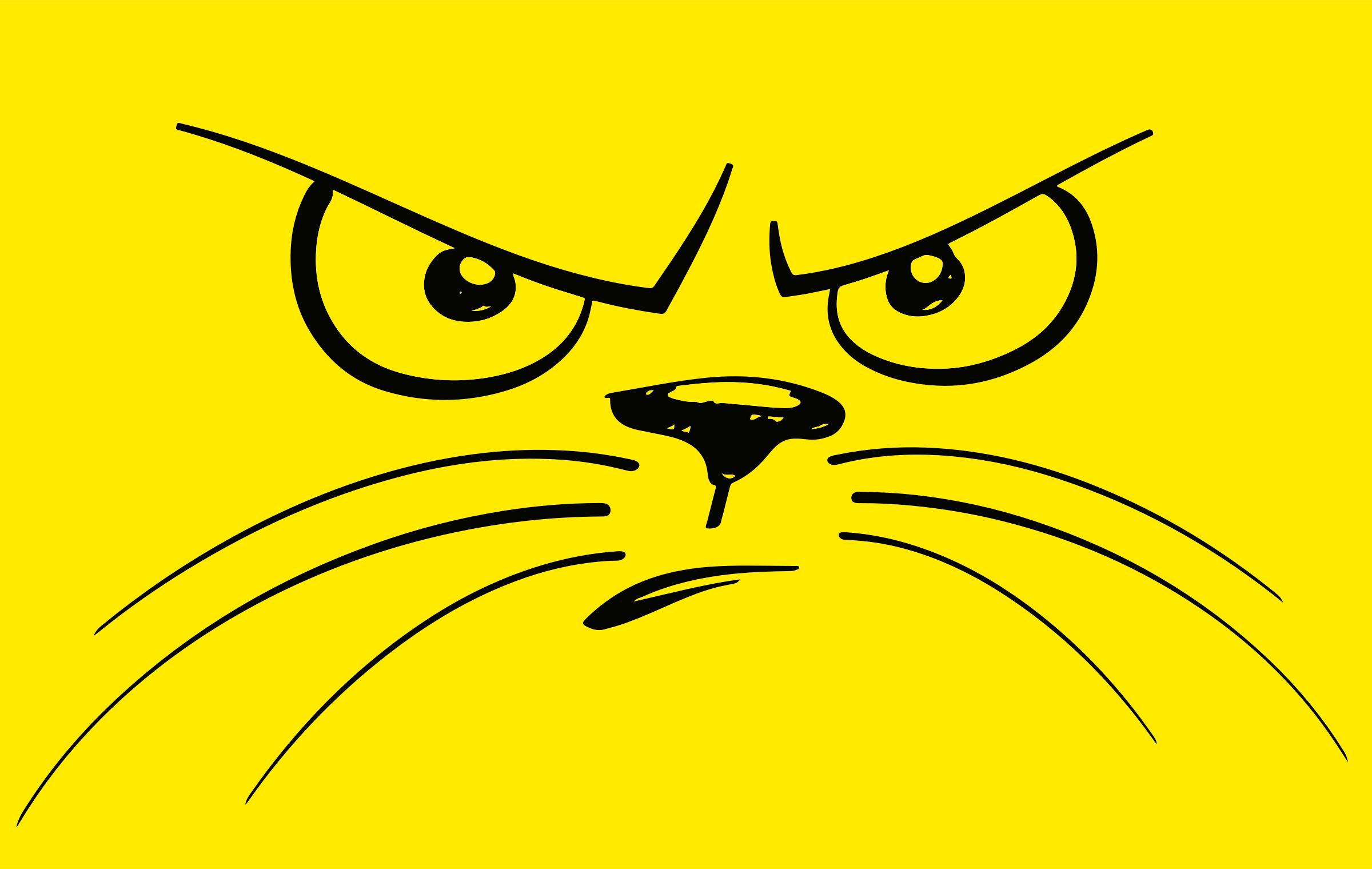 Unhappy Cat Face png