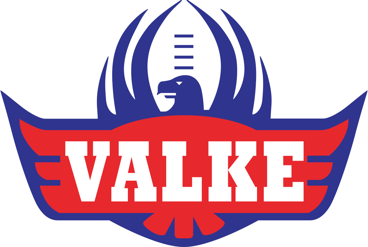Valke Falcons Rugby Logo icons