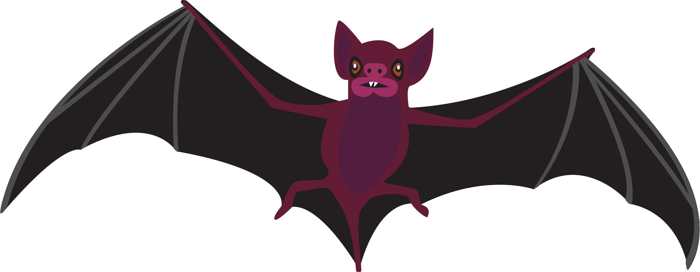Vampire Bat png