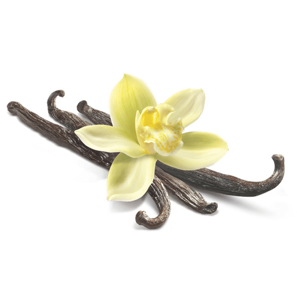 Vanilla Flower Closeup png