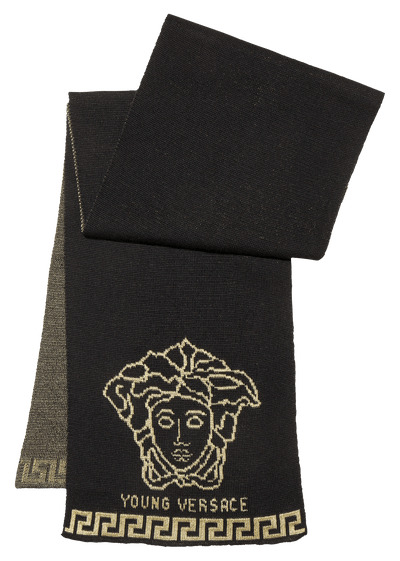 Versace Scarf png icons