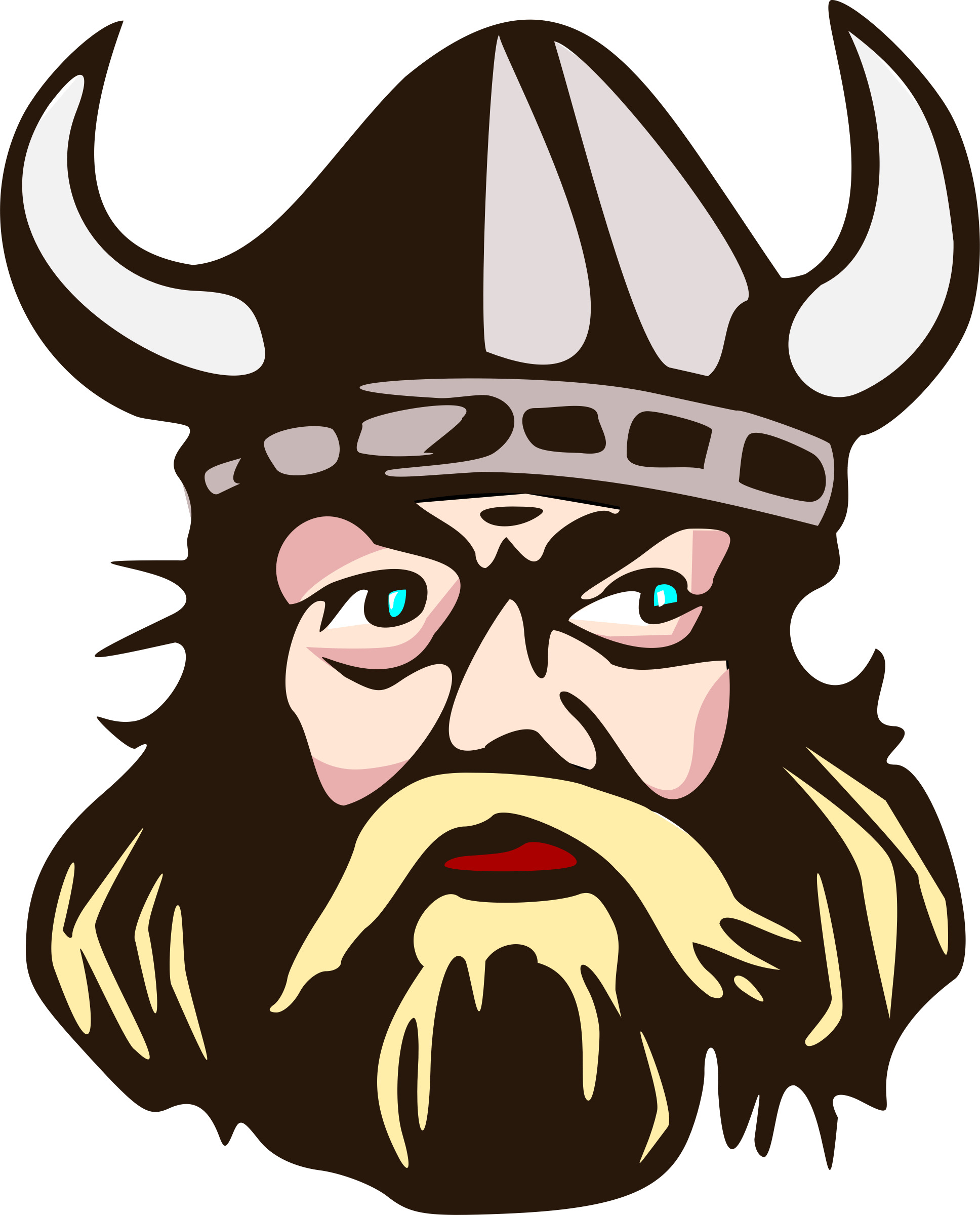 Viking Man Illustration icons