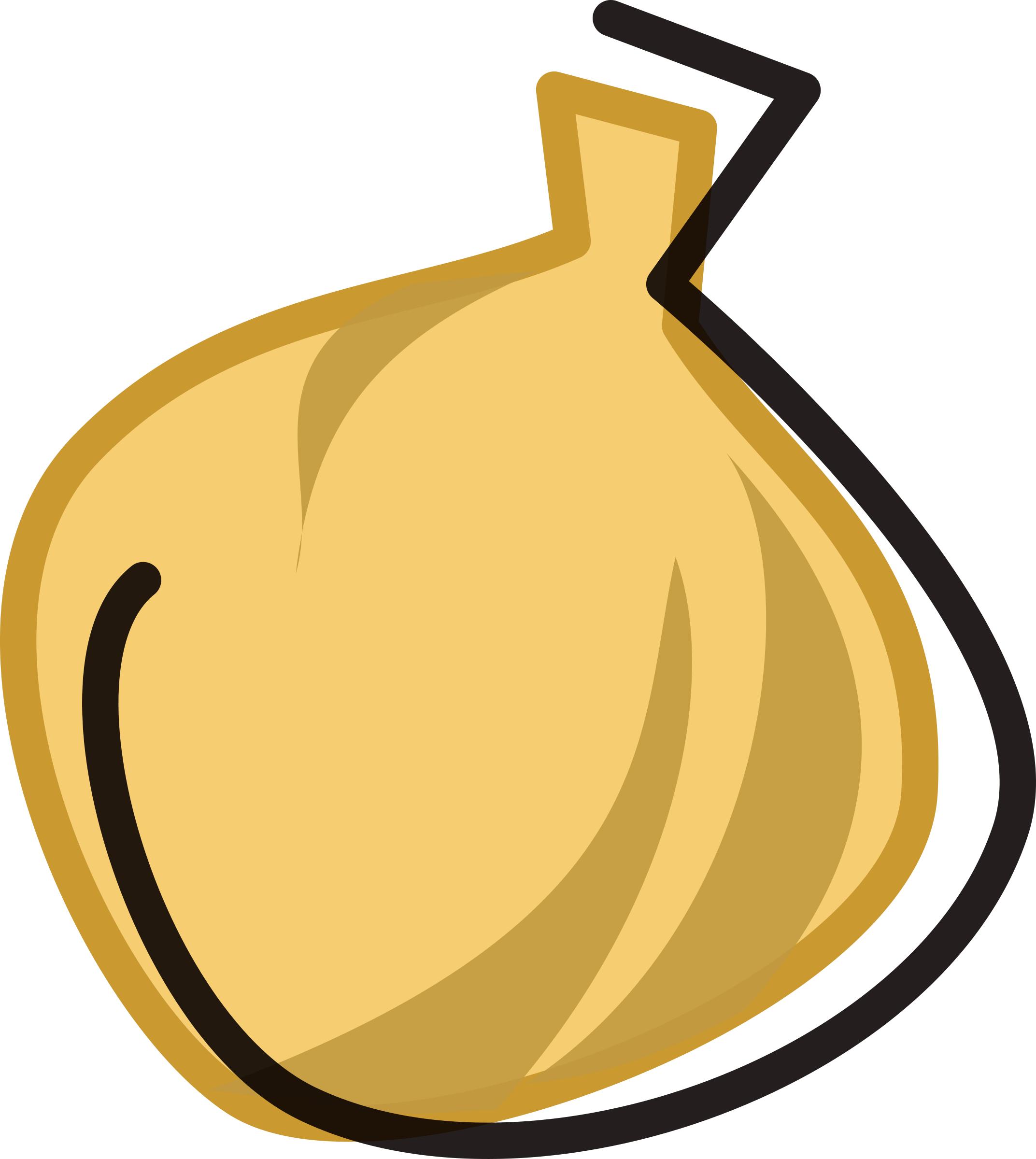 Vintage Onion PNG icons