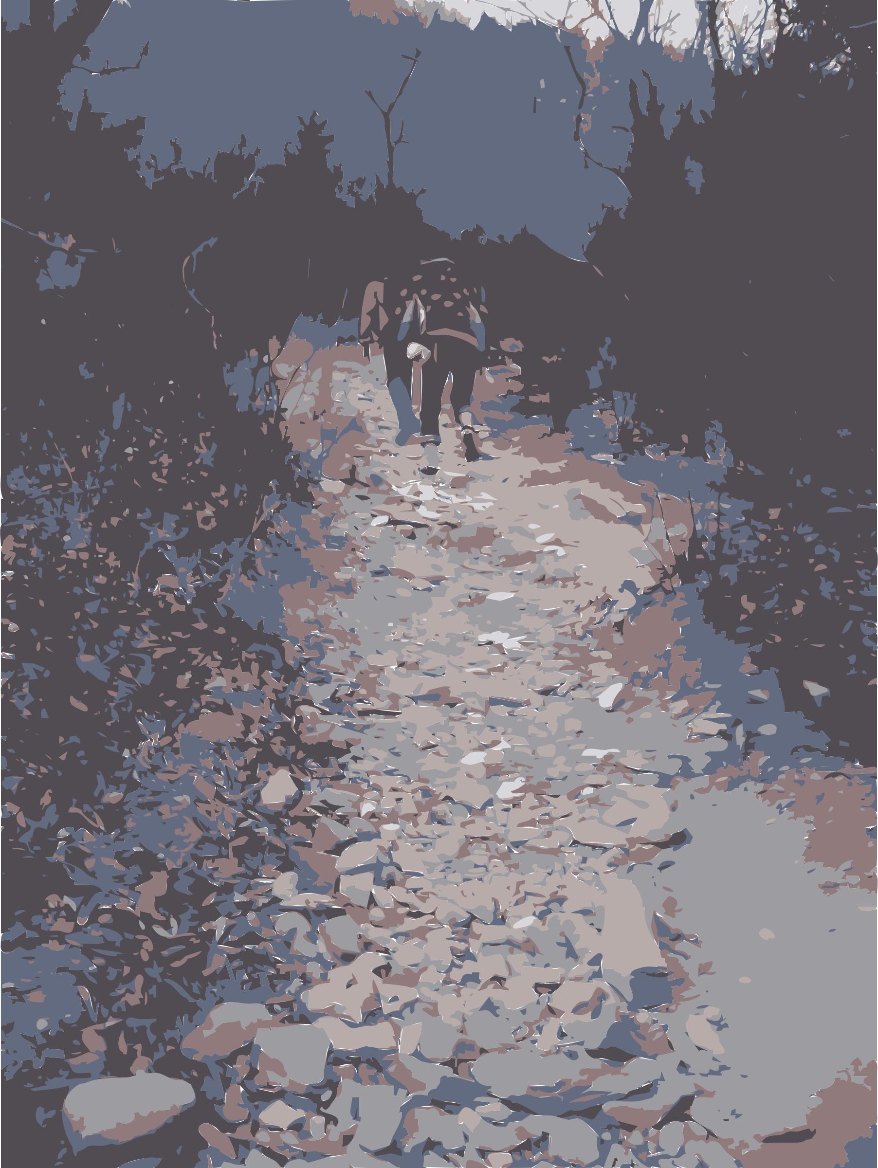 Walk in Chinese Mountains png
