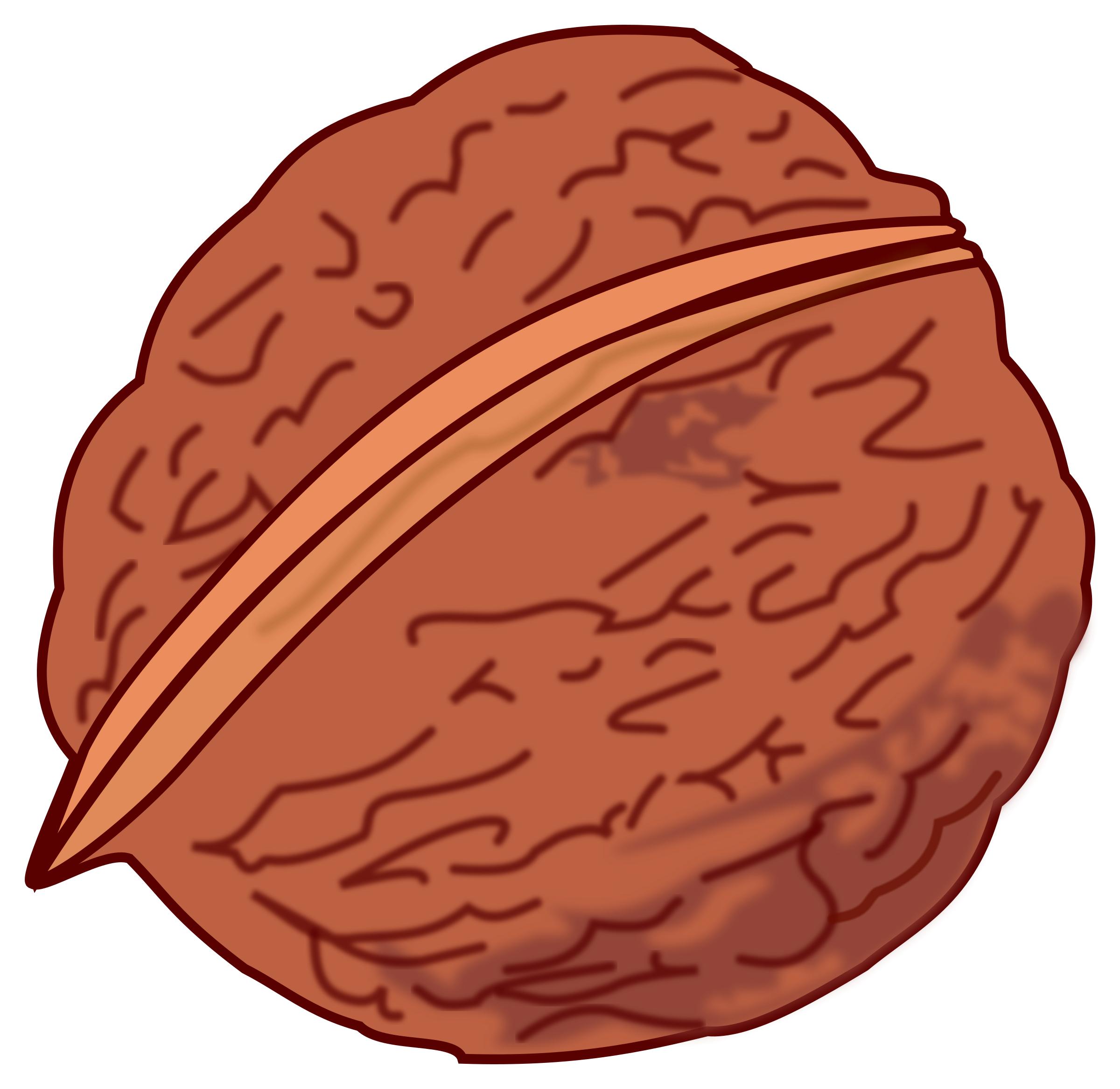 walnut colored png