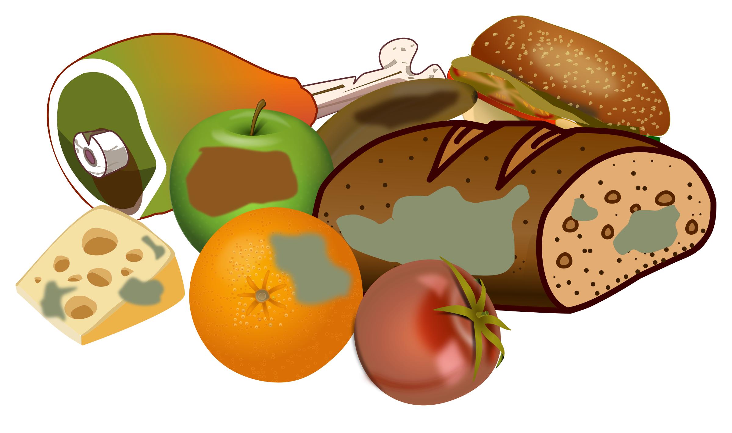 Wasting food png icons