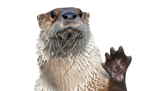 Waving Otter icons
