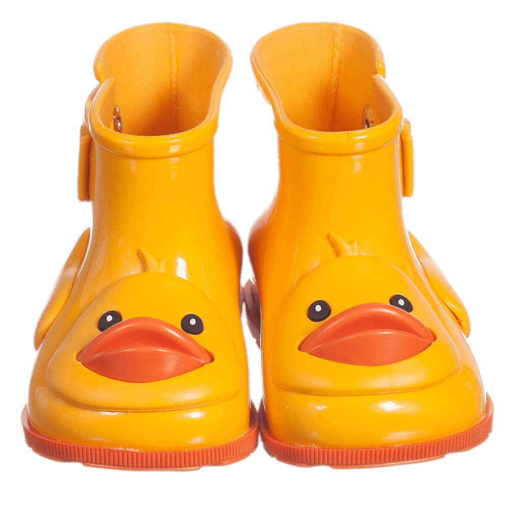 Wellies Ducks png icons