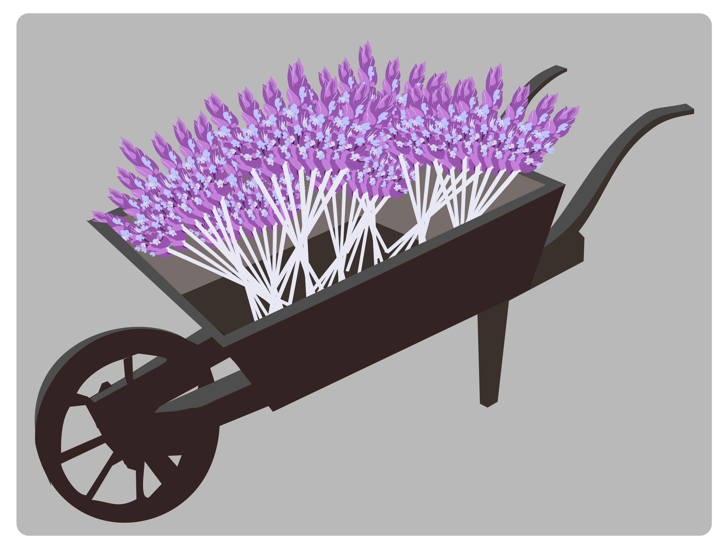 Wheel-barrow-lavender png