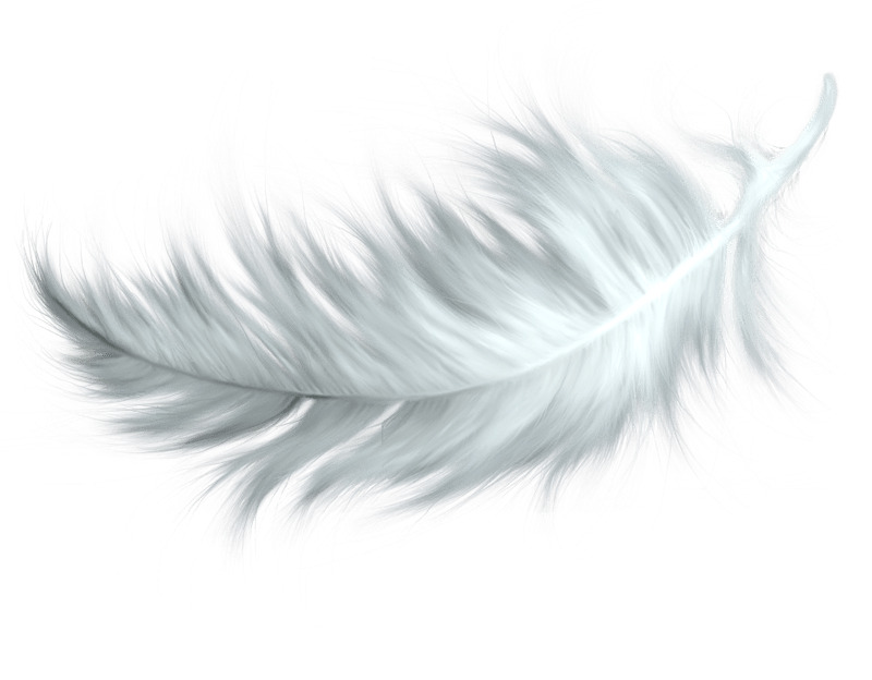 White Feather png icons