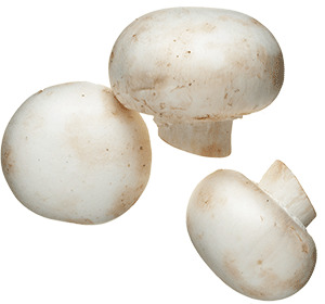 White Mushroom png icons