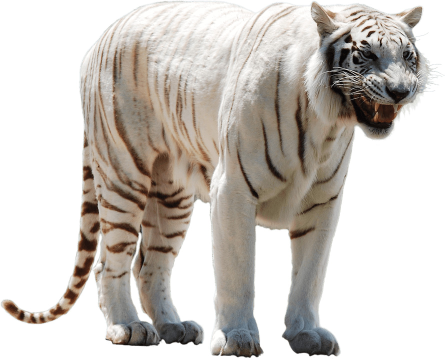 White Tiger Nervous icons