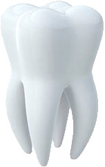 White Tooth png