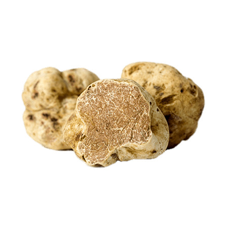 White Truffles png icons
