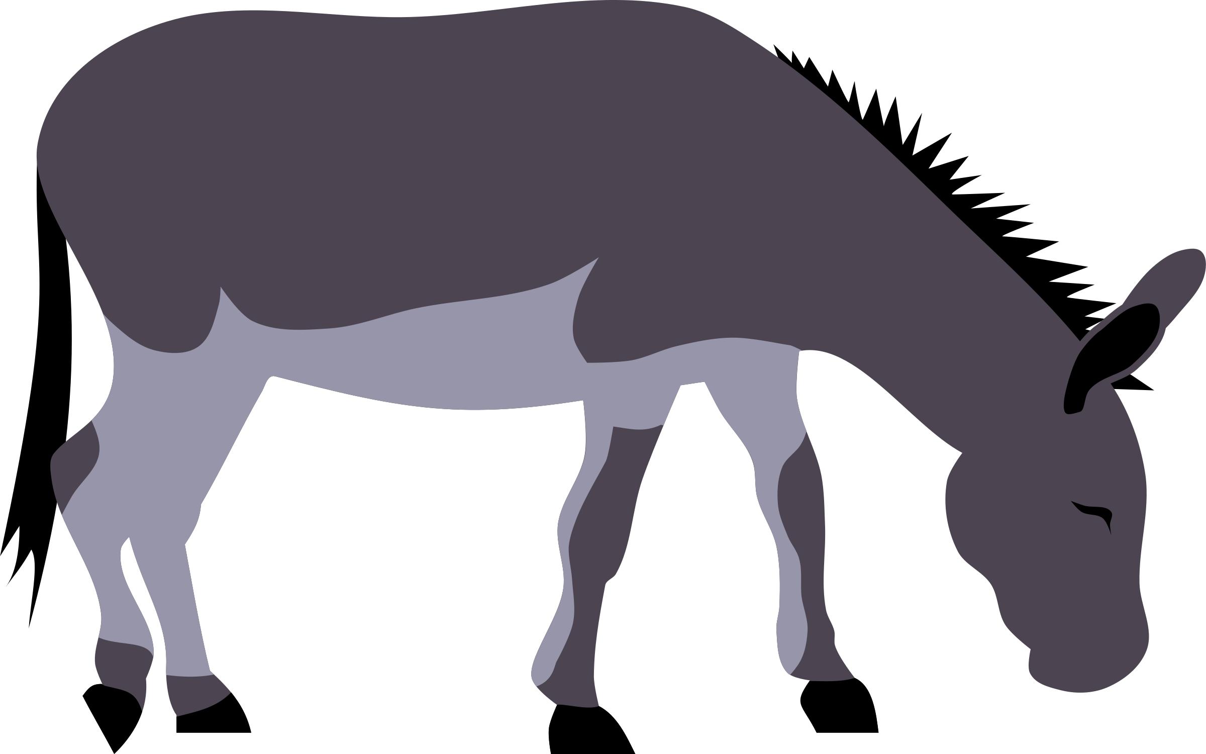Wild donkey by Rones png
