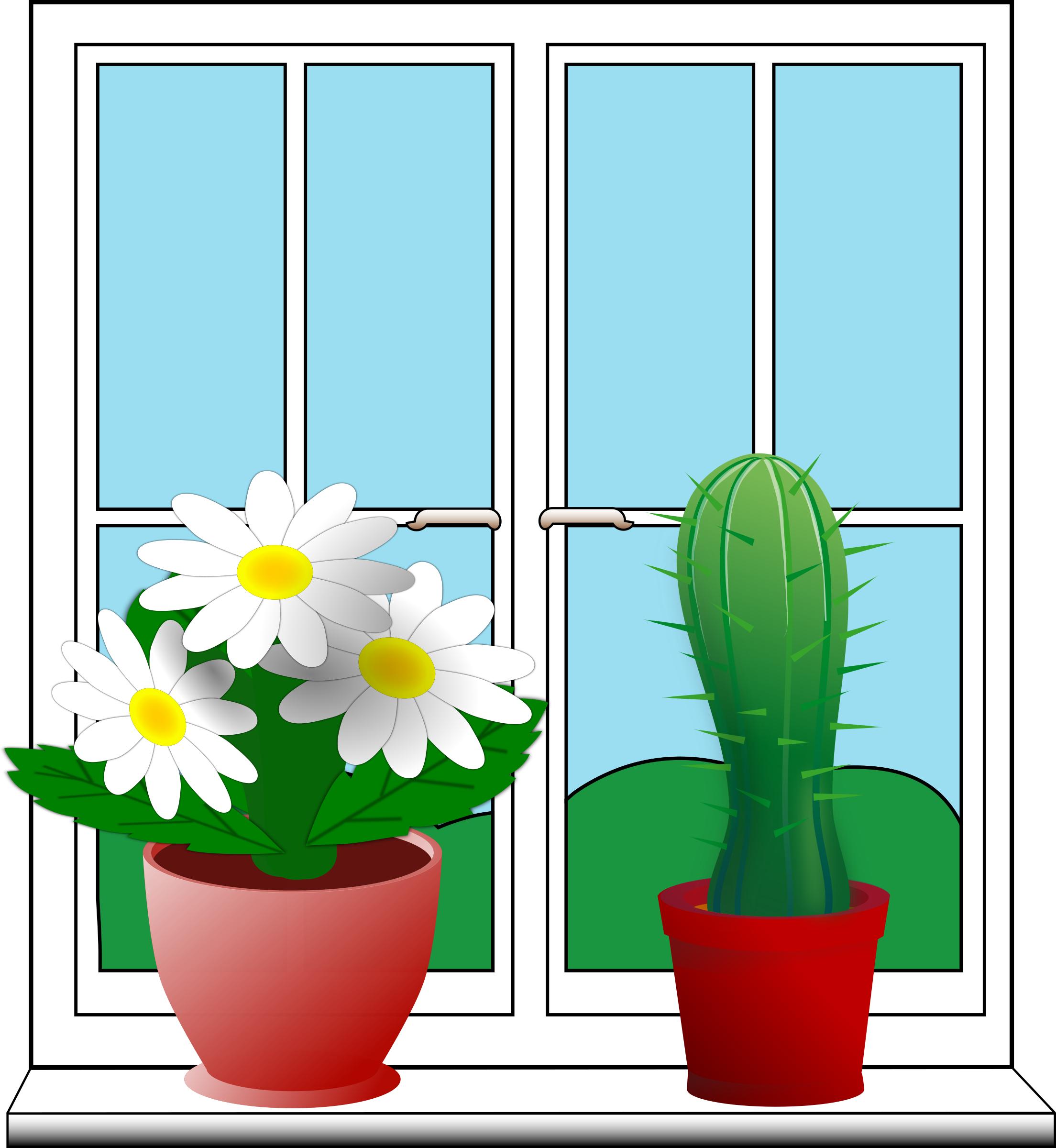Window with potted plants png