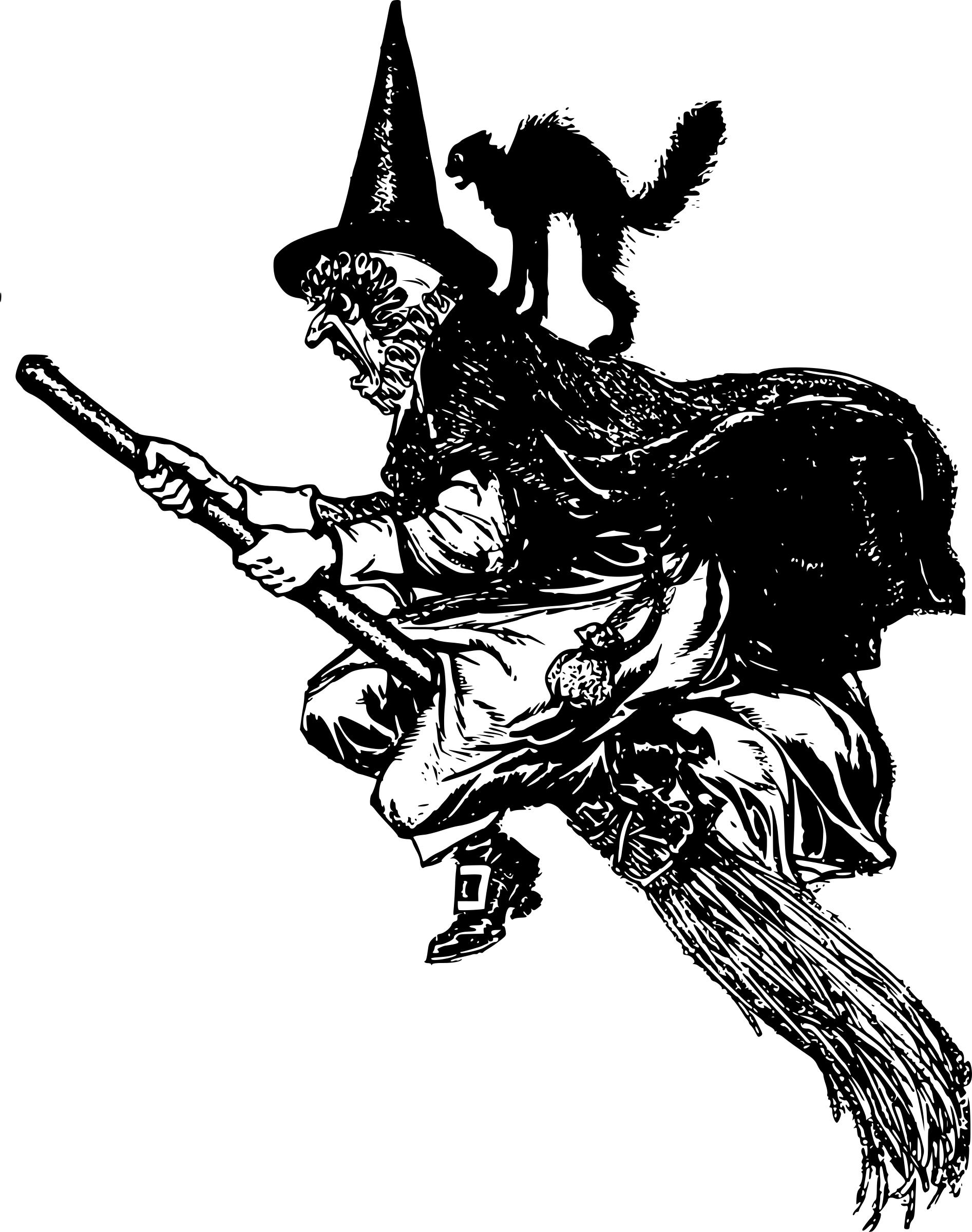 Witch on a Broom png