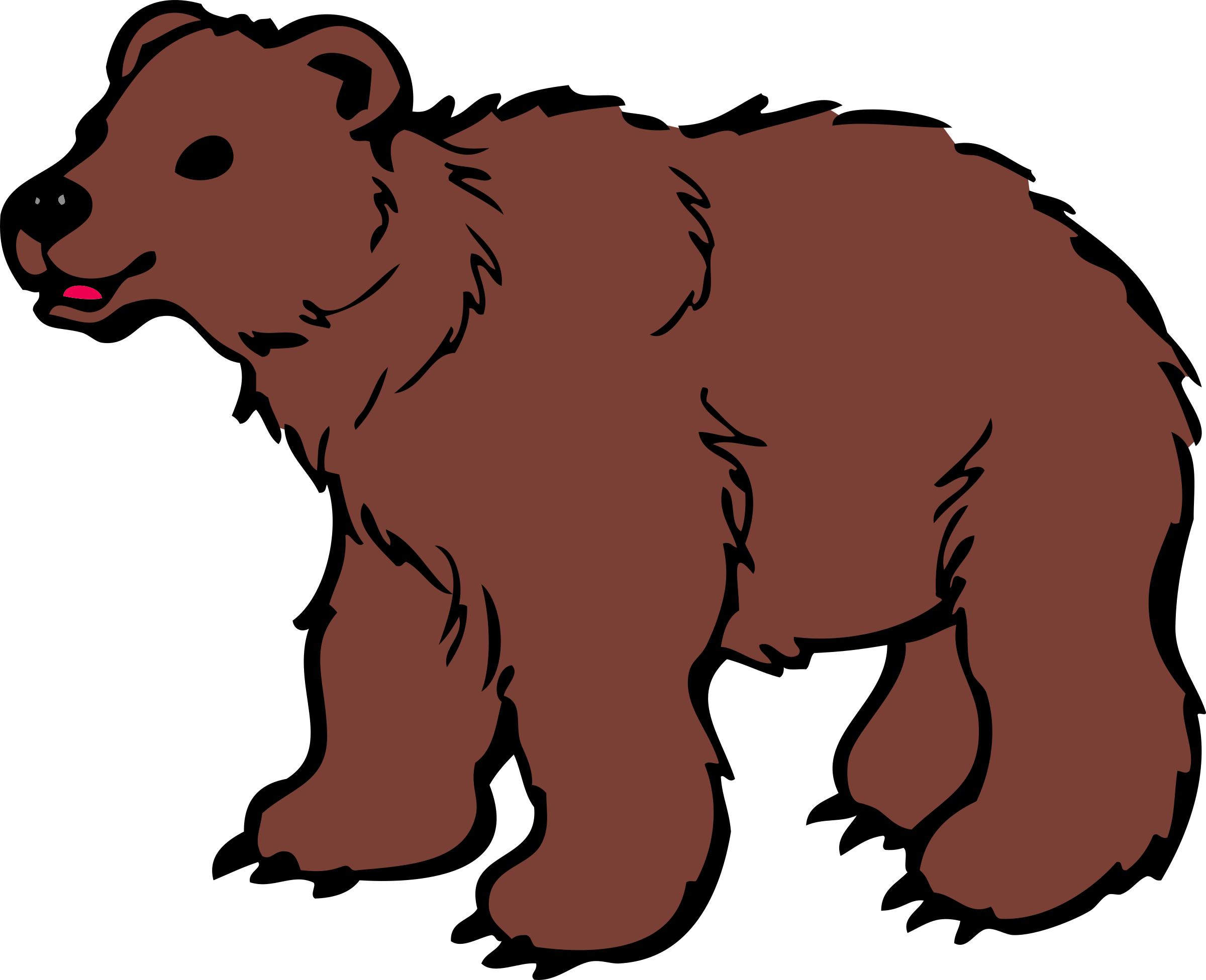 Young Brown Bear png