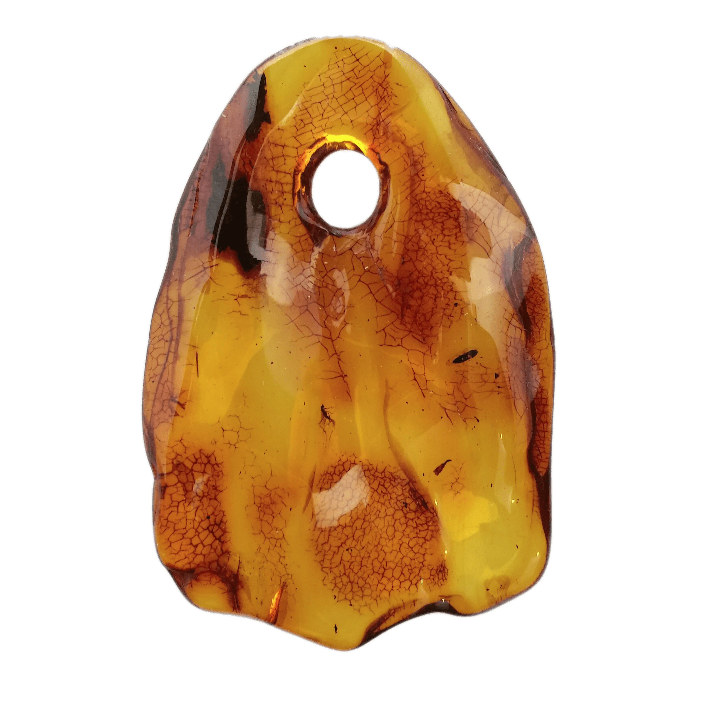 Amber Pendant With Small Insect PNG icon