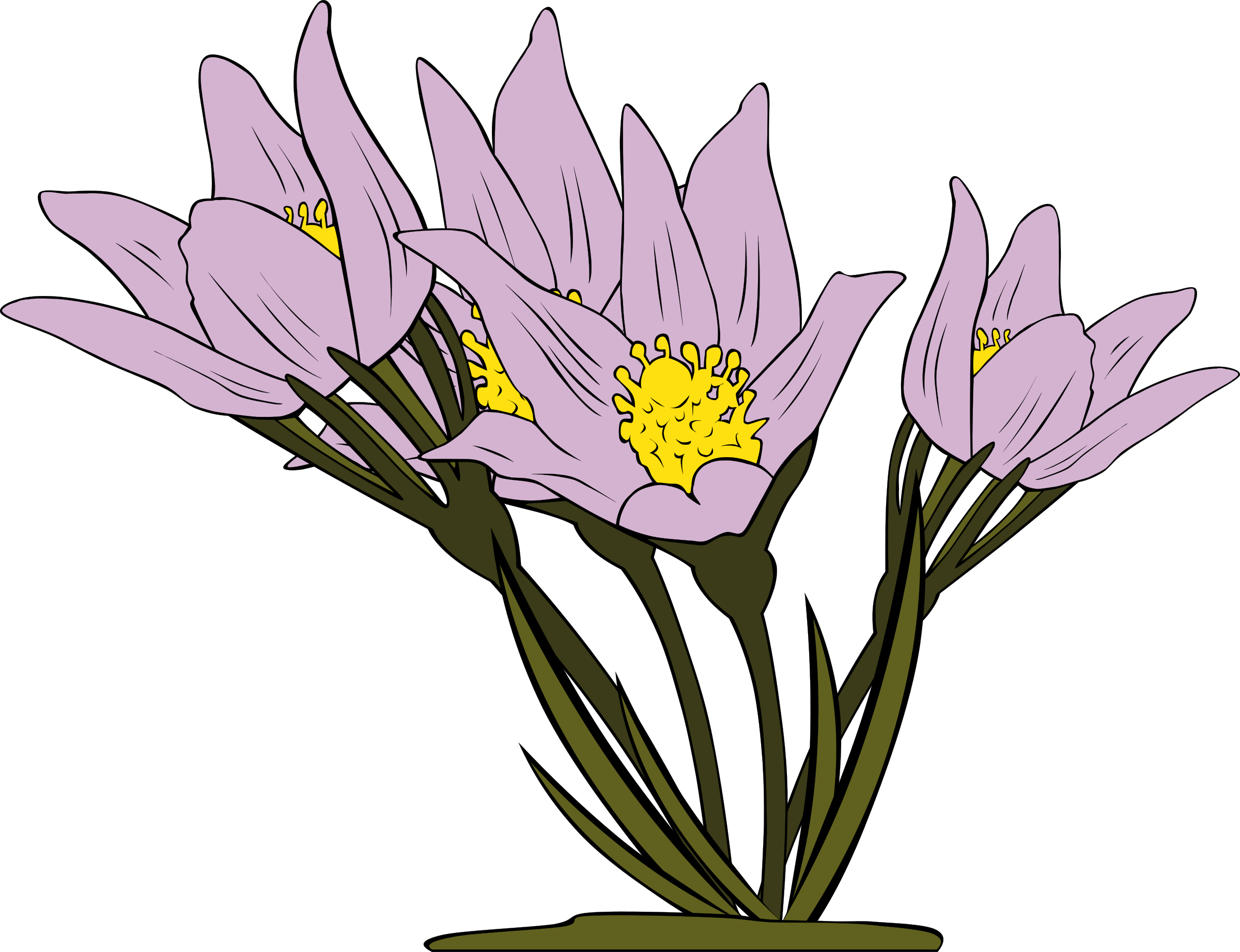 Anemone Patens PNG icon