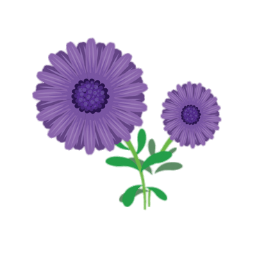 Aster Clipart PNG icon