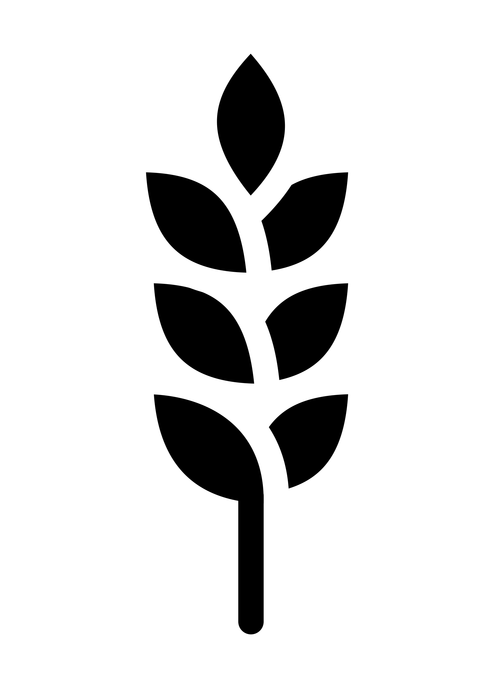 barley PNG icon