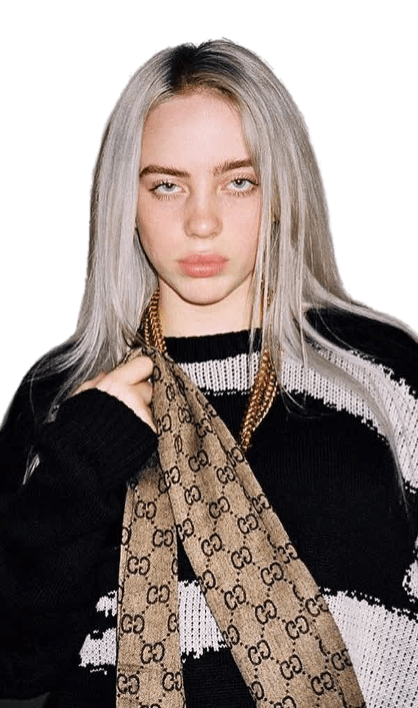 Billie Eilish Black And White Sweater Icons Png Free Png And