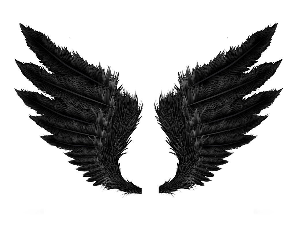 Black Angel Wings Clip arts