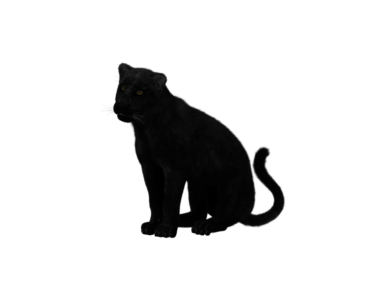 Black Panther Sitting PNG images