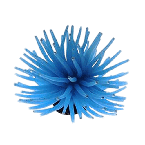 Blue Sea Anemone Clip arts