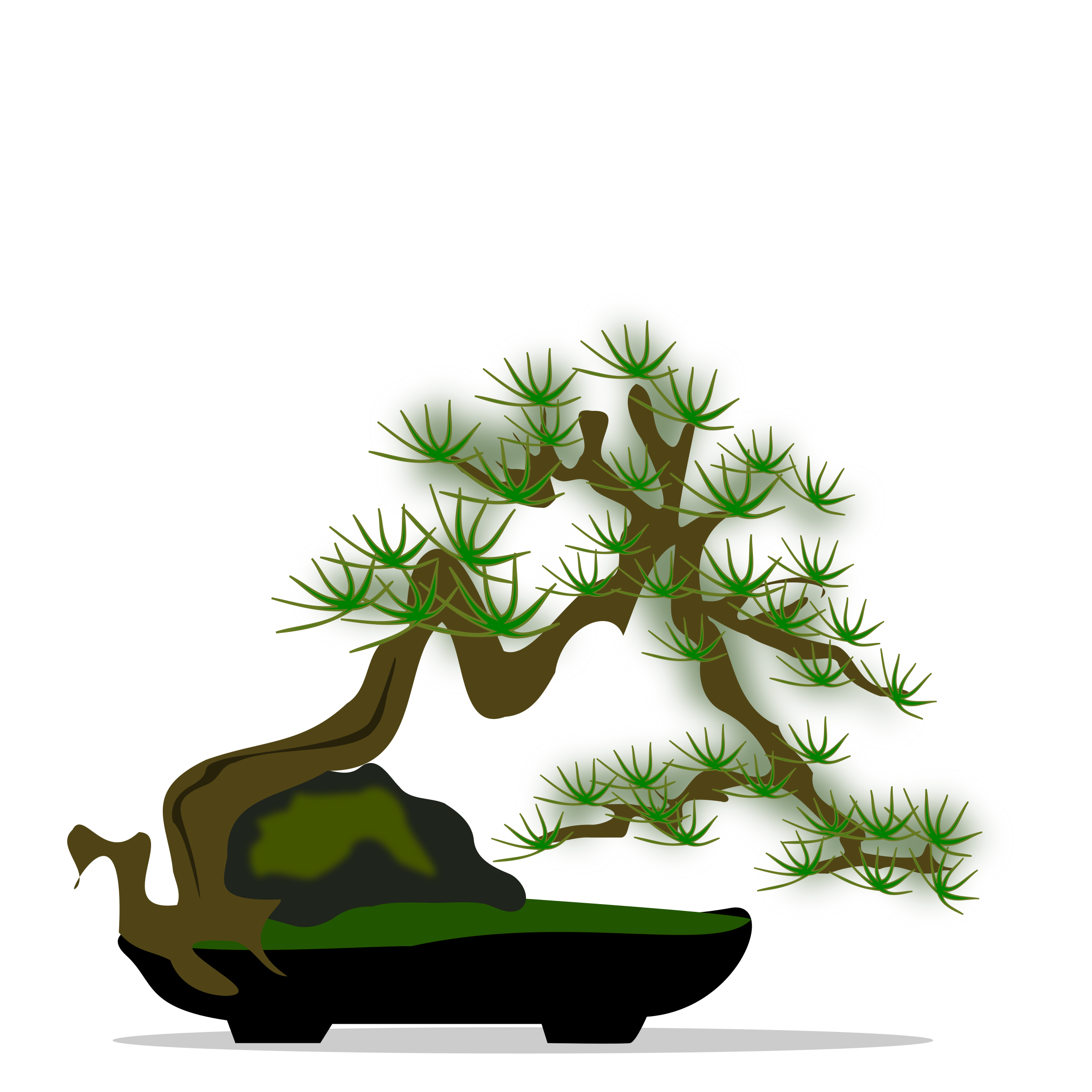 bonsai-04 PNG icon