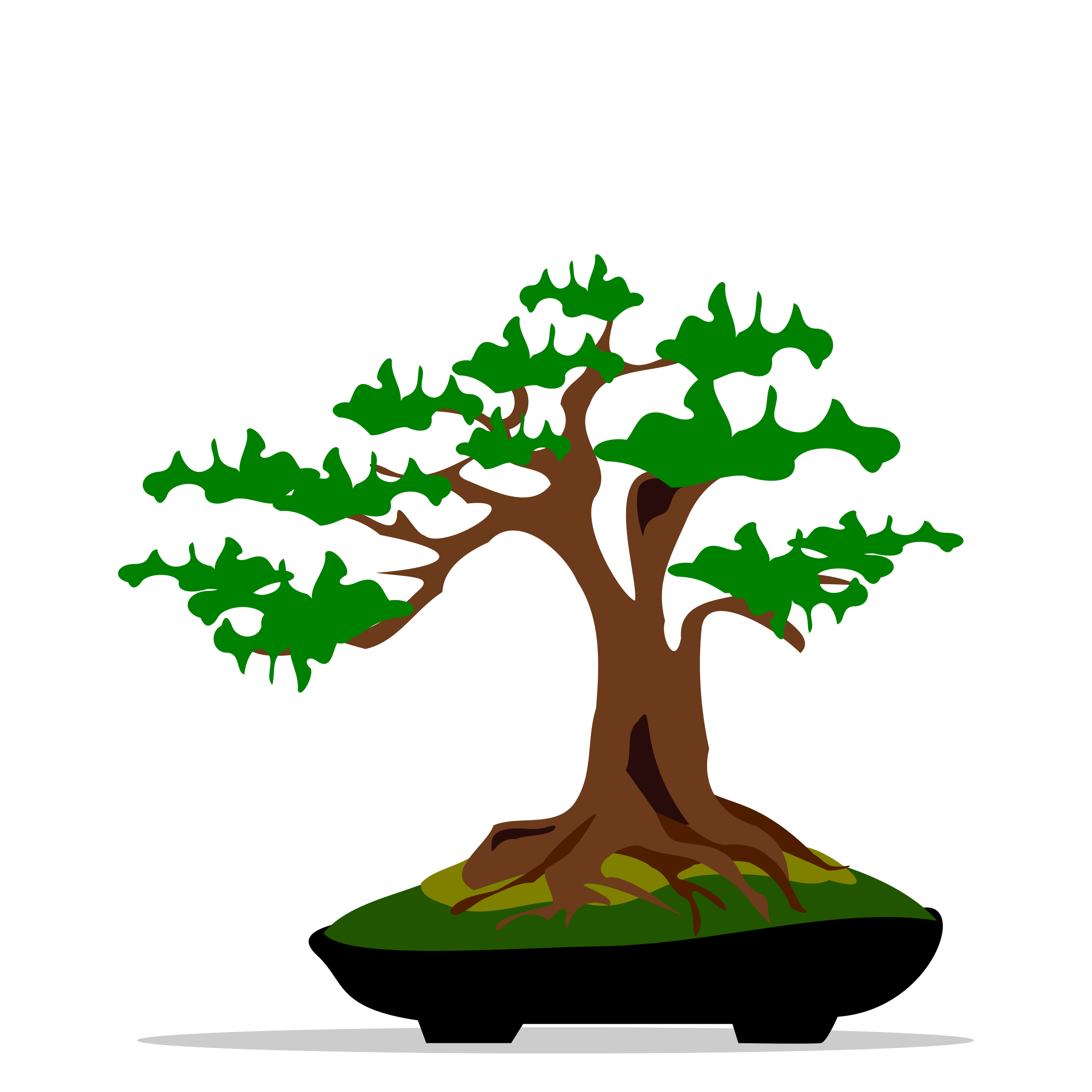 bonsai-06 PNG icon