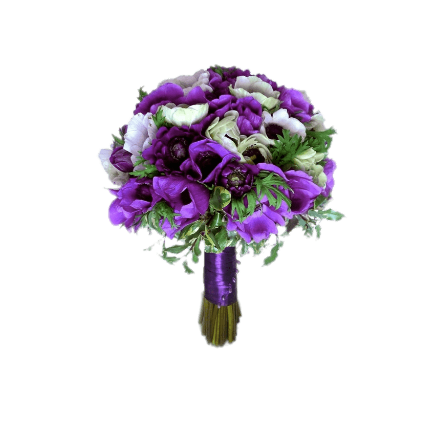 Bouquet Of Anemones PNG images