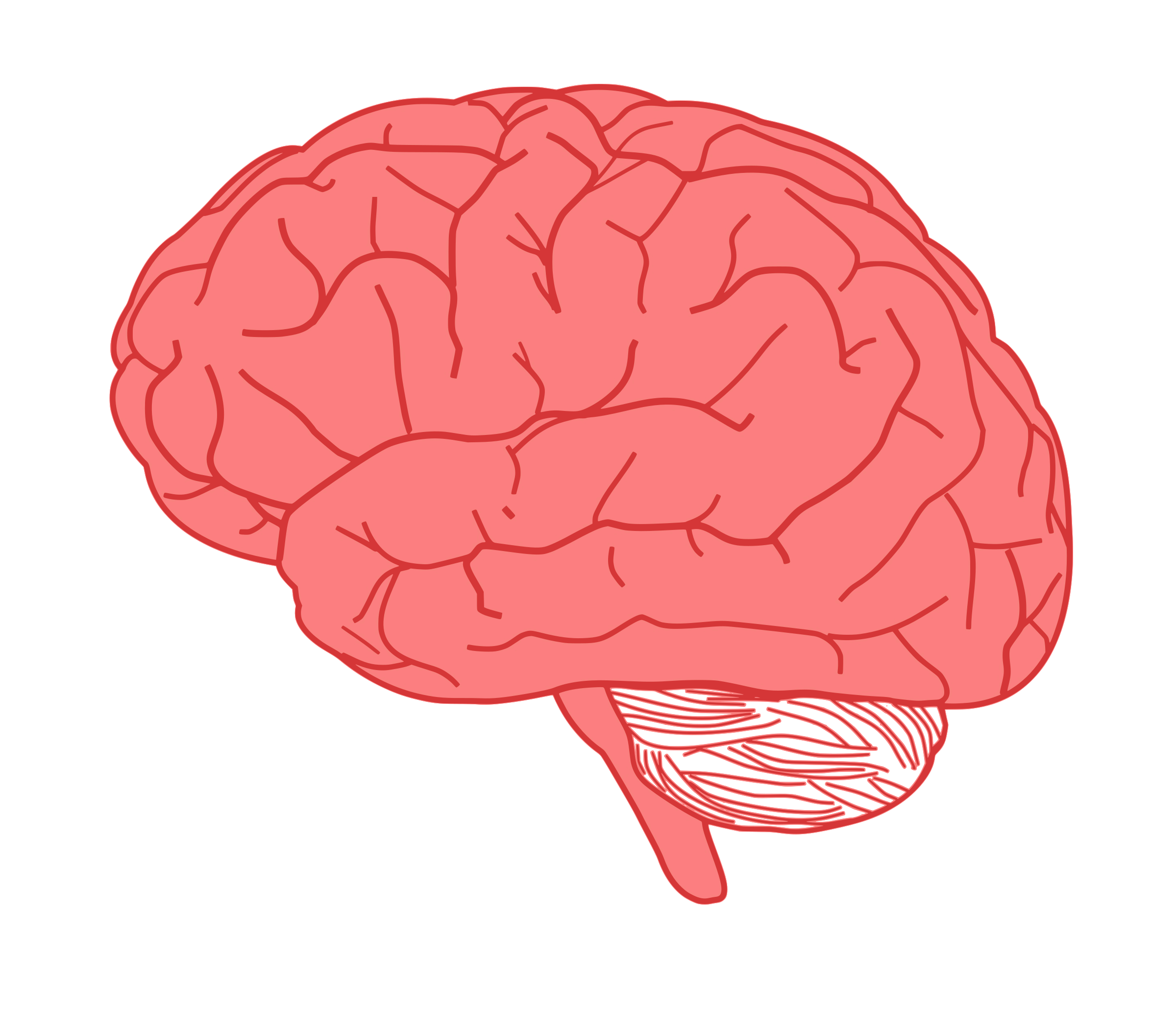 brain in profile SVG Clip arts