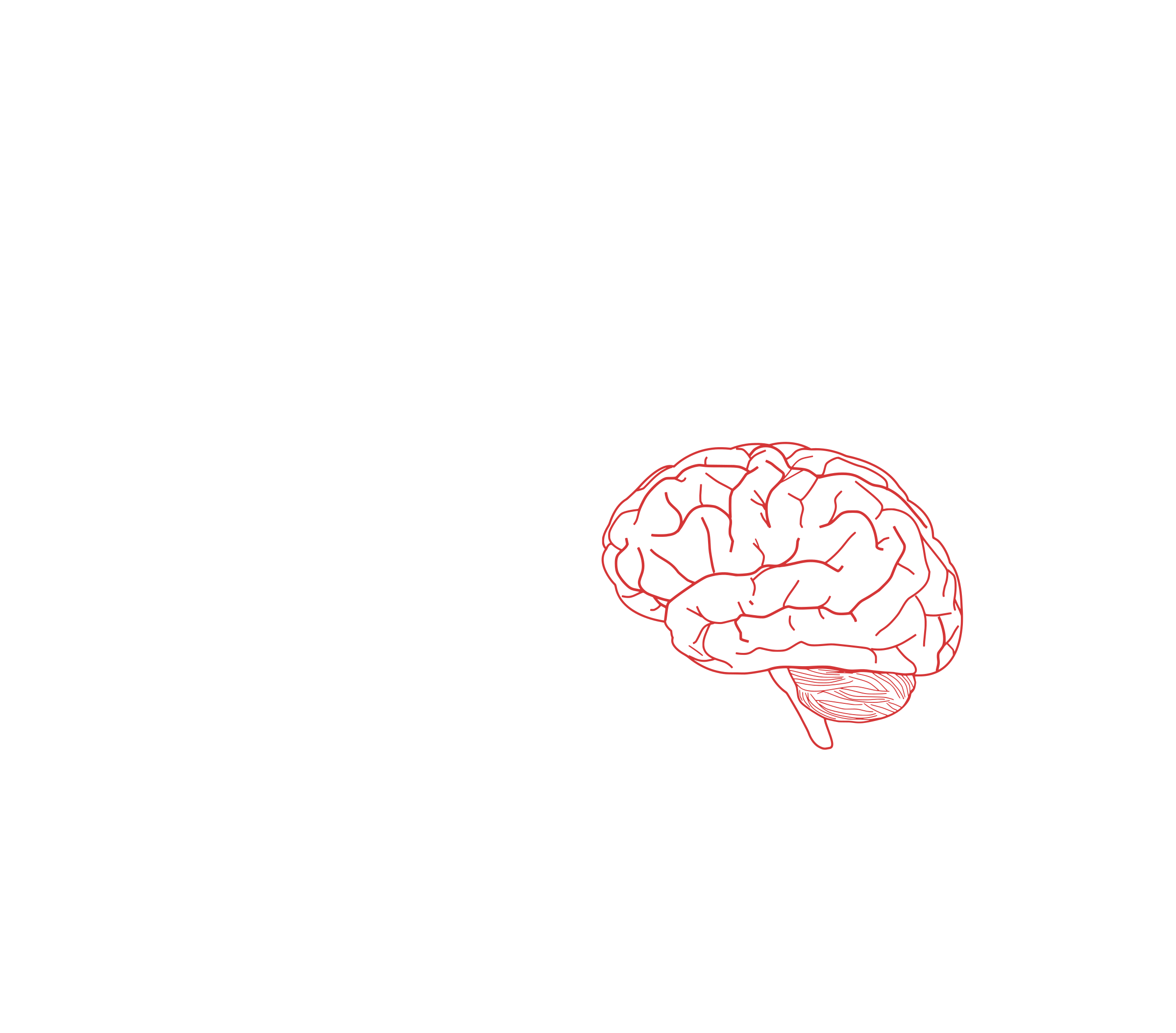 brain profile 2 SVG Clip arts