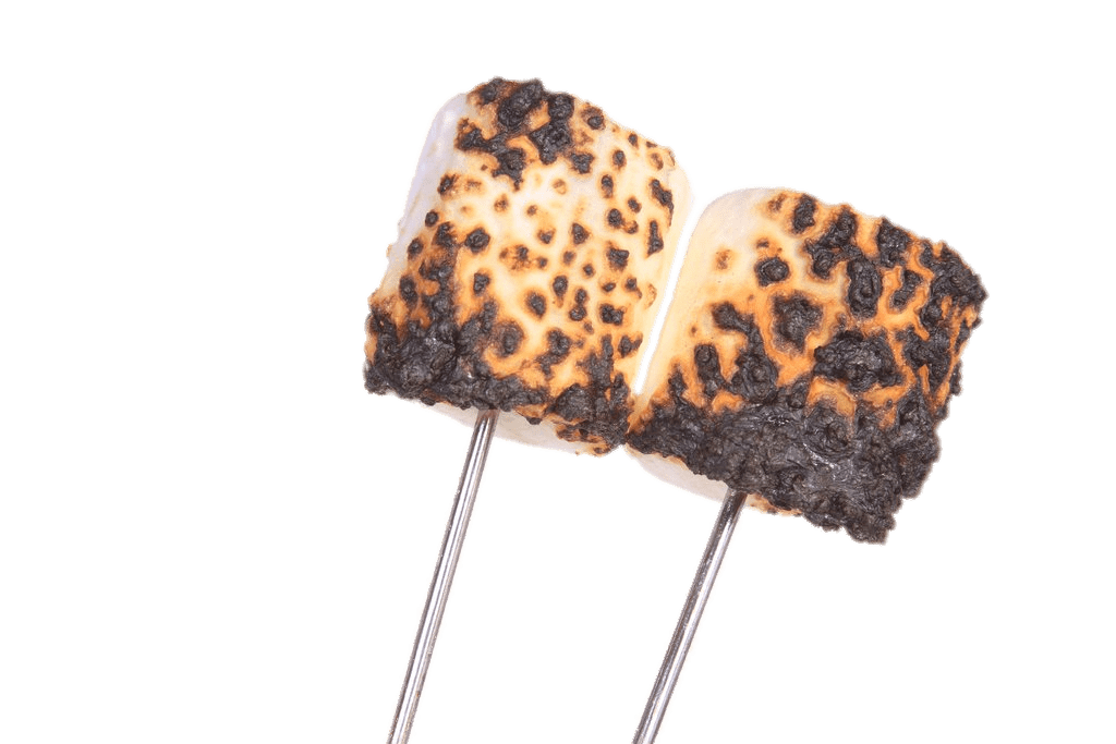 Burnt Marshmallows on Stick PNG images