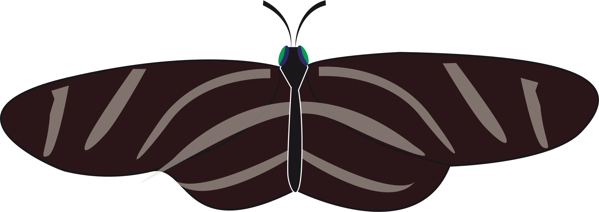 butterfly zebra long wing Clip arts