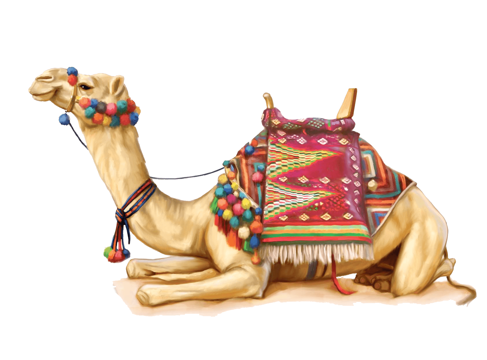 Camel Illustration Clip arts