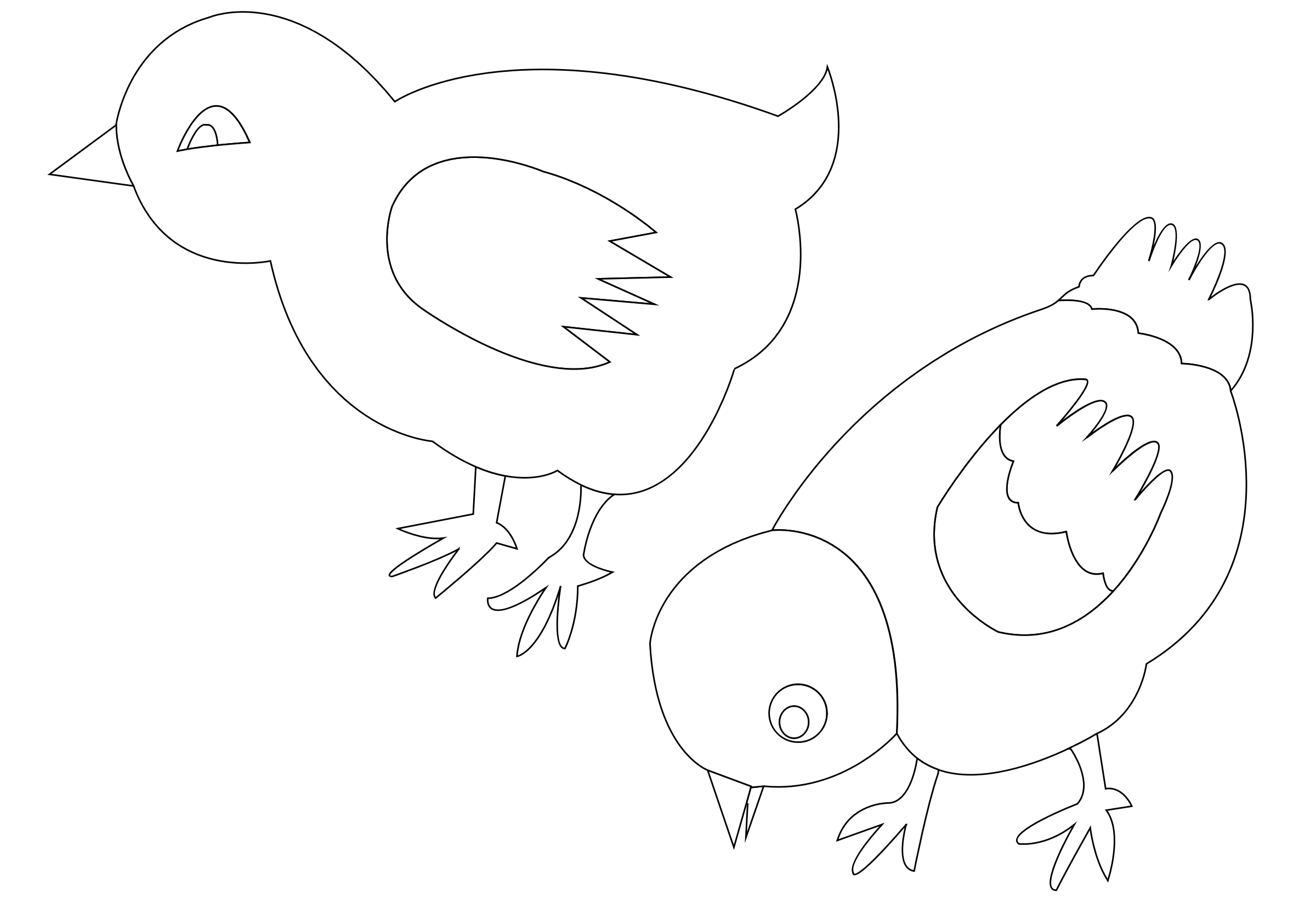 chickens-002-vector-coloring PNG icon