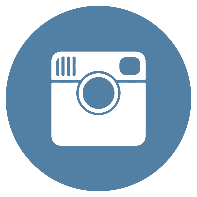 Circle Instagram Icon Icons Png Free Png And Icons Downloads