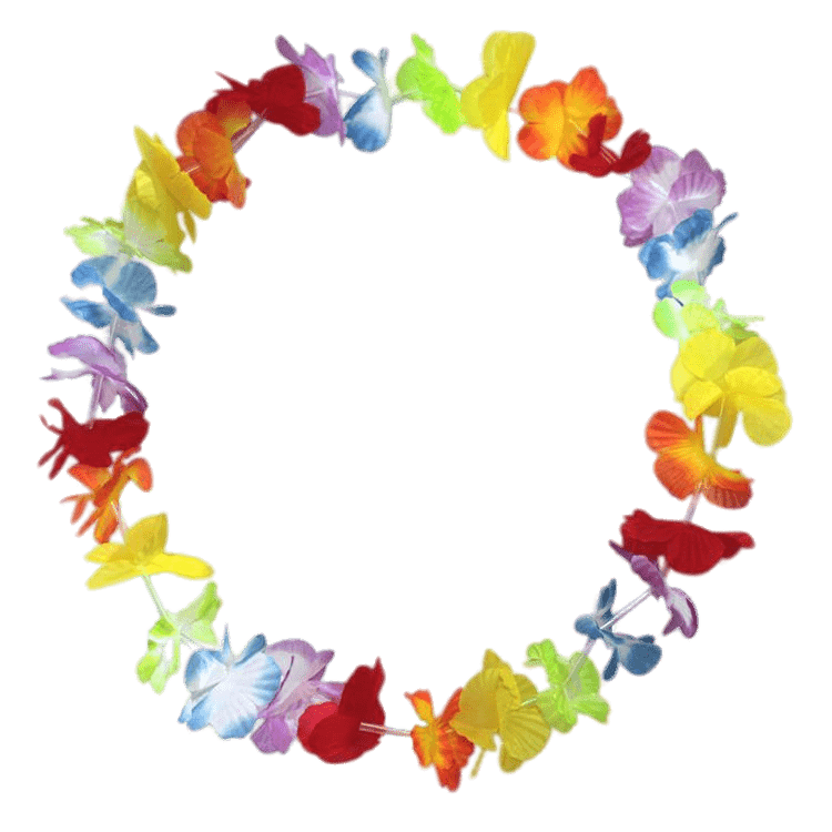 Colourful Hawaiian Flower Necklace PNG images