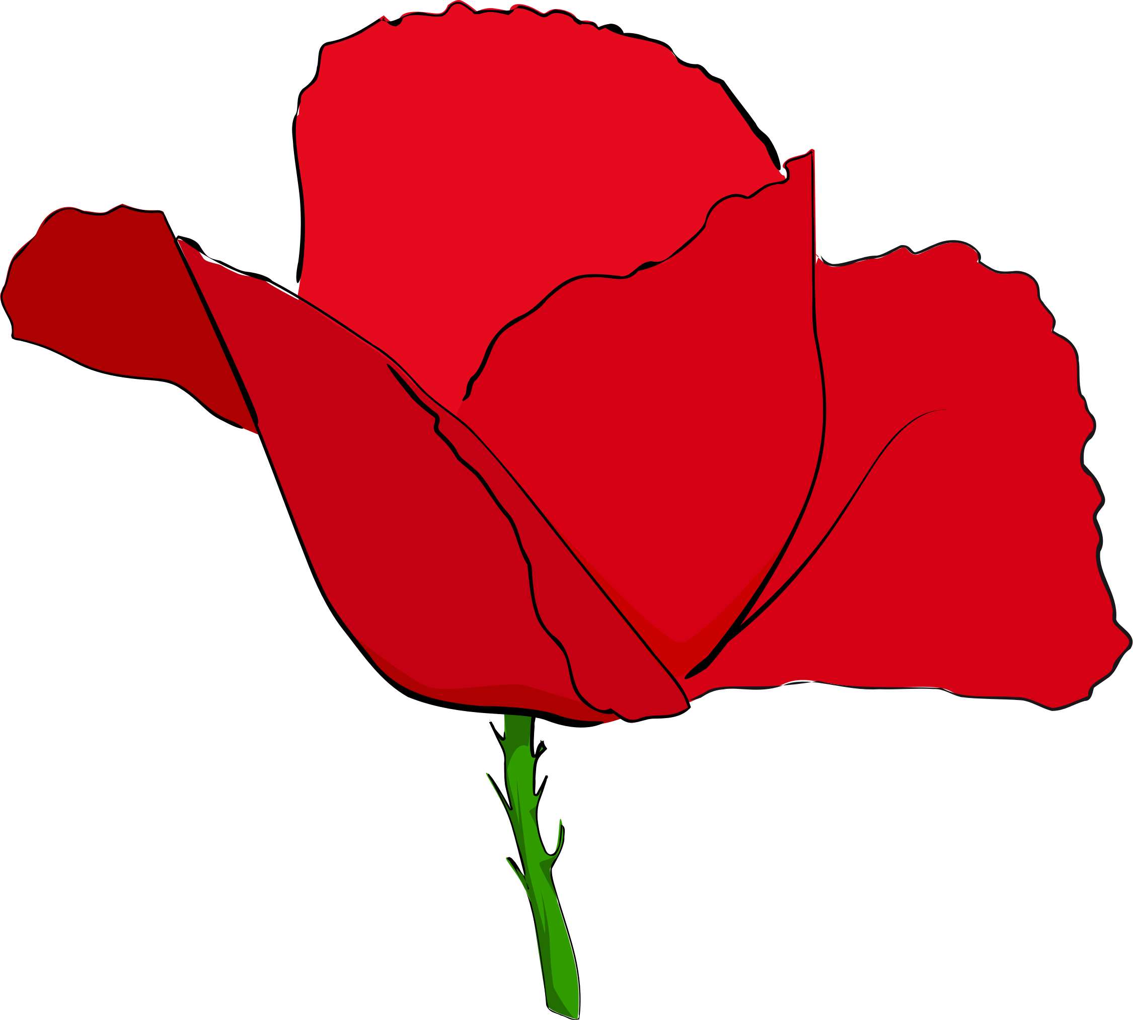 Coquelicot rouge - Red poppy Clip arts