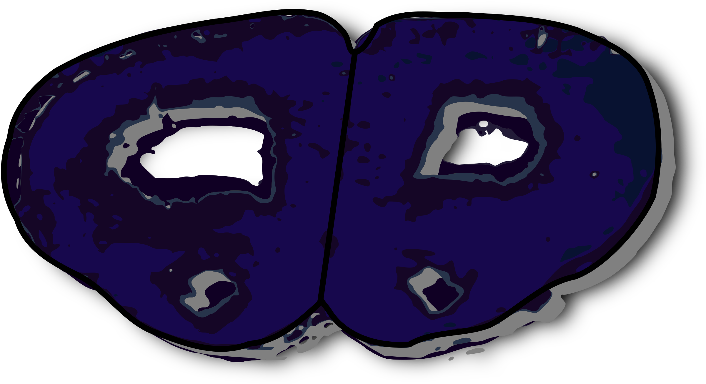 Coronal Section Rat Brain PNG icon